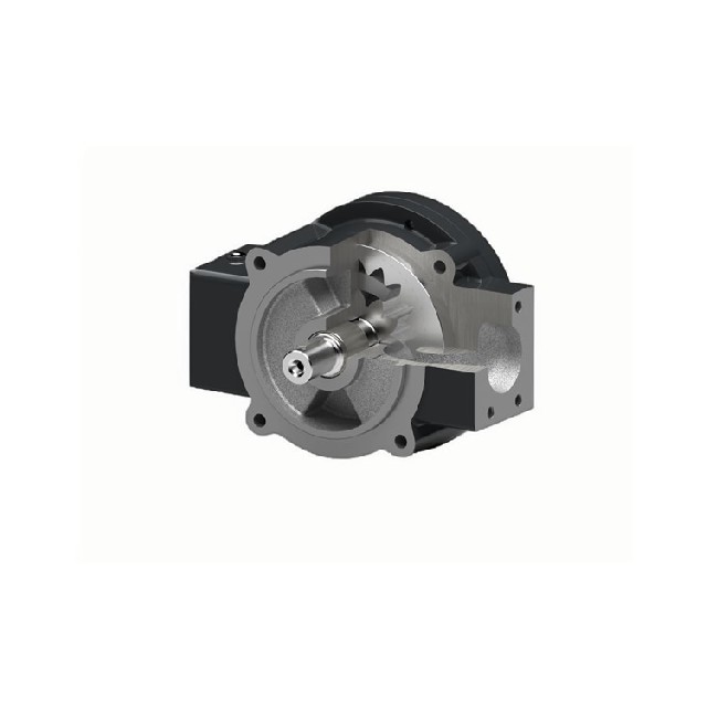 德国原装进口Rickmeier齿轮泵R4.5/035 FL-Z-G050-UNI-SD010